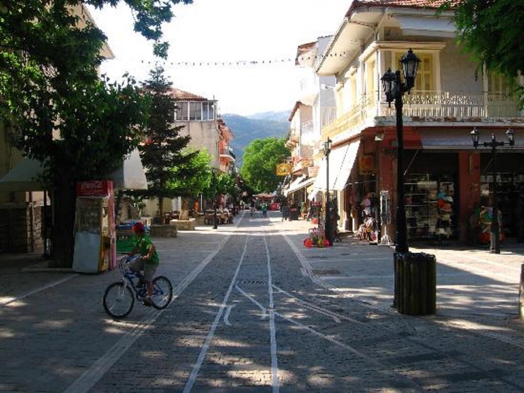 Ξύλινο Σαλέ Καλάβρυτα Εξωτερικό φωτογραφία